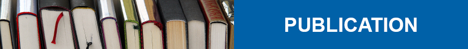 publikation_en-header