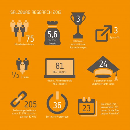 Infografik: Erfolge 2013 © Salzburg Research