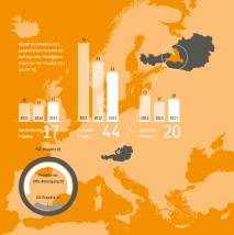 Infografik: Projekttätigkeit 2013 © Salzburg Research