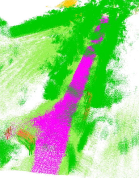 Hellbrunner Allee mit Feldweg: Von der KI zugeordnete LiDAR-Punktwolke © Salzburg Research