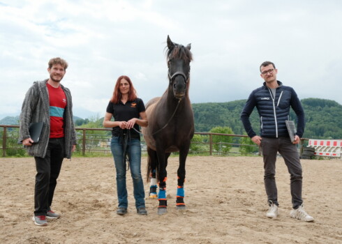 Forschende von Salzburg Research und Pegasox stehen mit Pferd Contigo auf einem Reitplatz in Bergheim; an den Pferdebeinen sind Sensor-Hufsocken für erste Messungen angebracht.