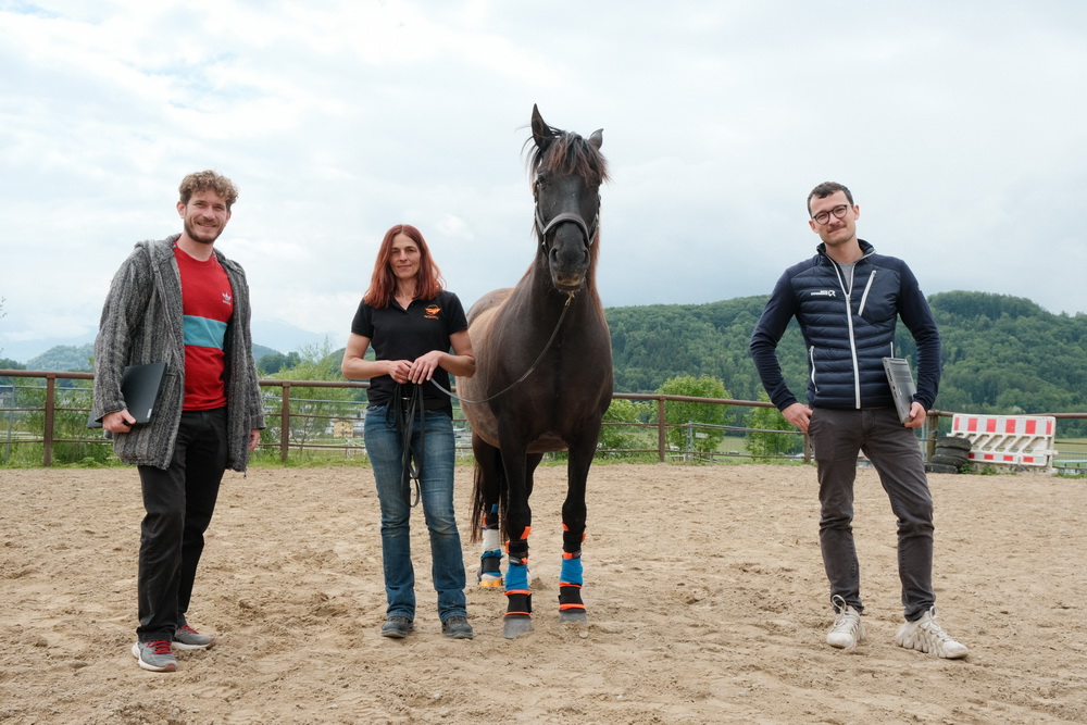 Forschende von Salzburg Research und Pegasox stehen mit Pferd Contigo auf einem Reitplatz in Bergheim; an den Pferdebeinen sind Sensor-Hufsocken für erste Messungen angebracht.