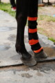 Forschende von Salzburg Research und Pegasox stehen mit Pferd Contigo auf einem Reitplatz in Bergheim; an den Pferdebeinen sind Sensor-Hufsocken für erste Messungen angebracht.