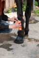 Forschende von Salzburg Research und Pegasox stehen mit Pferd Contigo auf einem Reitplatz in Bergheim; an den Pferdebeinen sind Sensor-Hufsocken für erste Messungen angebracht.