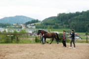 Forschende von Salzburg Research und Pegasox stehen mit Pferd Contigo auf einem Reitplatz in Bergheim; an den Pferdebeinen sind Sensor-Hufsocken für erste Messungen angebracht.